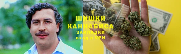 мдпв Володарск